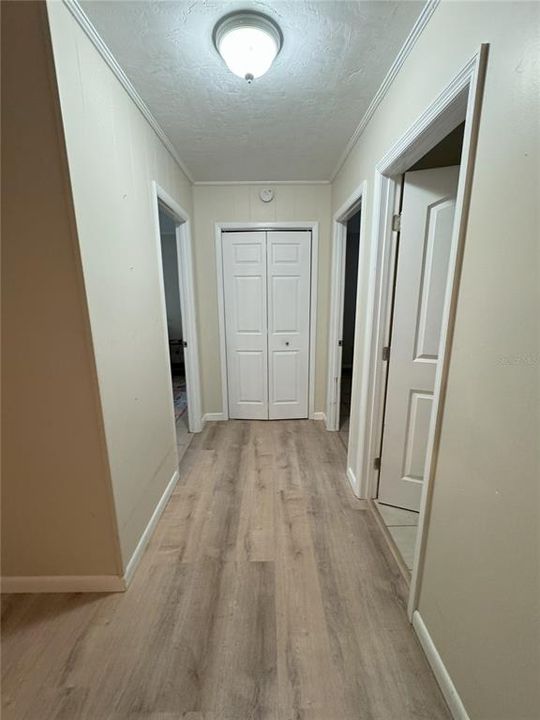 Hallway to Bedrooms