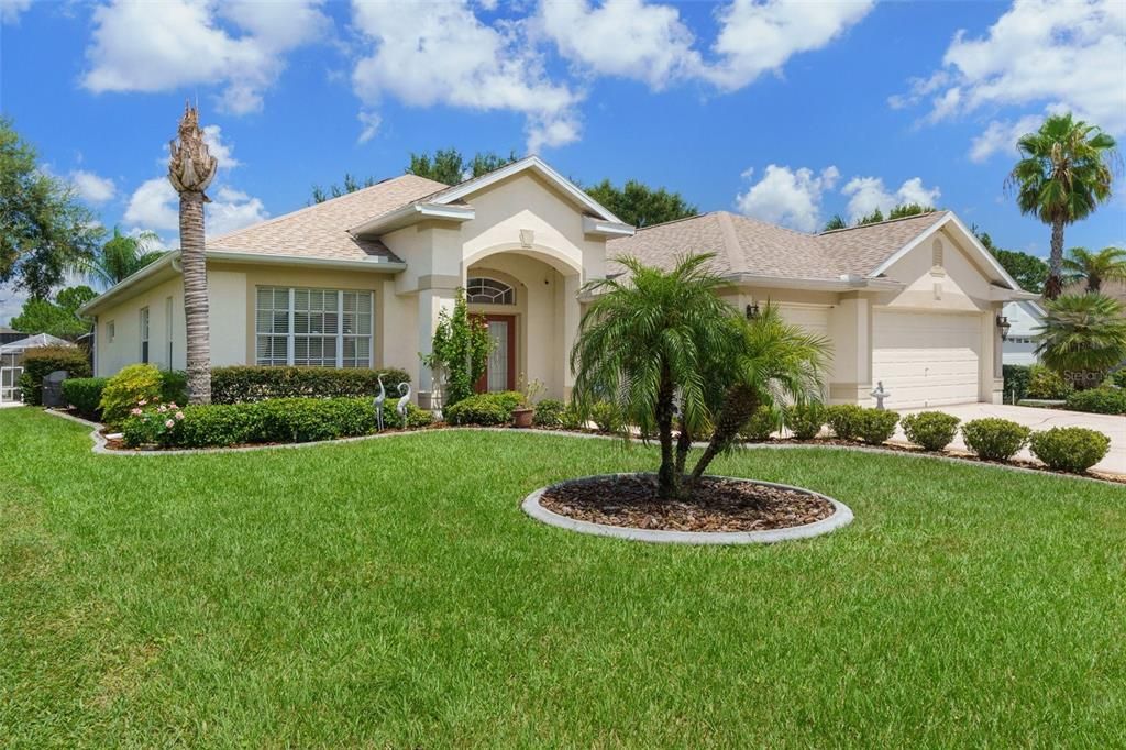 Beautiful Lush Grass in the Front Yard