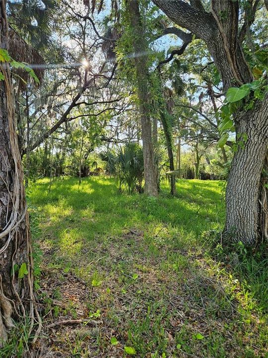 For Sale: $150,000 (0.17 acres)