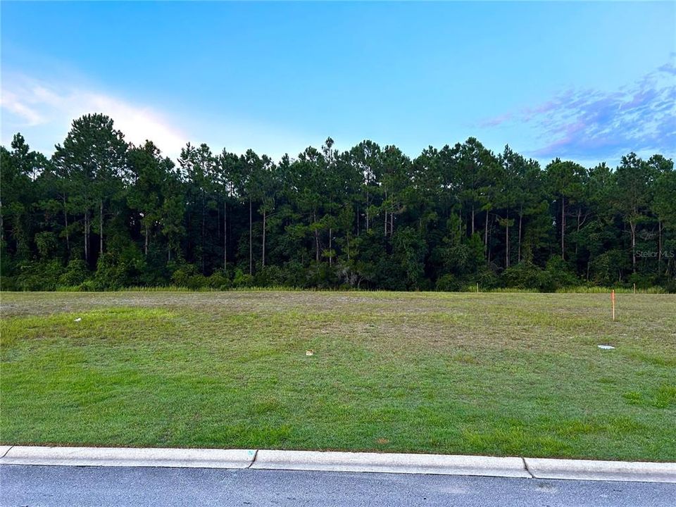 Front View of lot from Street