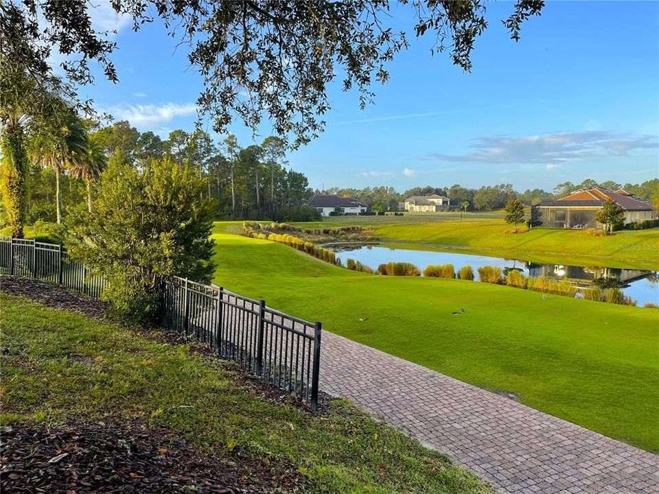 View from road towards golf course