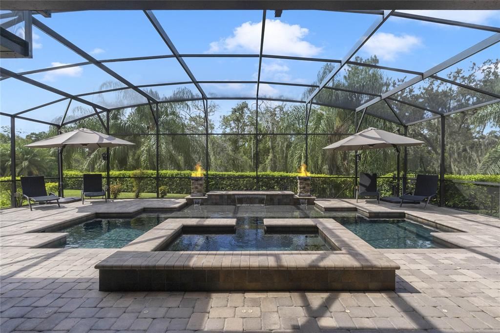 Panoramic conservation views from the pool. Large sun shelf, spa, several waterfall & fire features