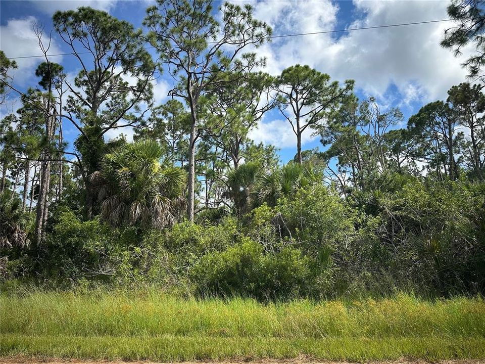 Active With Contract: $28,000 (0.23 acres)