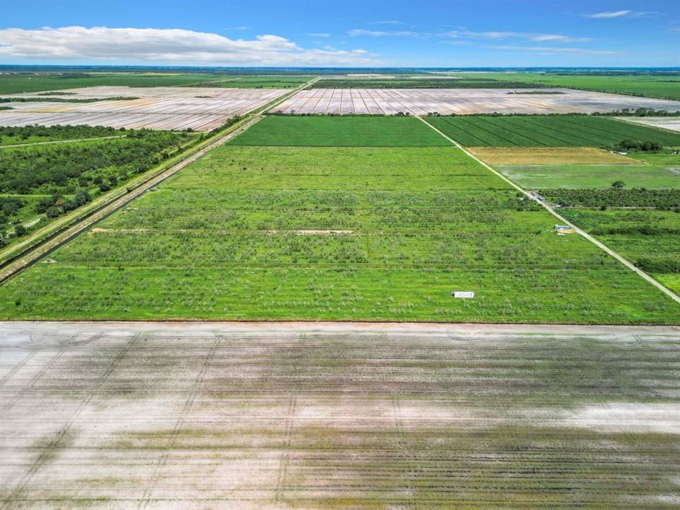 For Sale: $264,900 (19.43 acres)