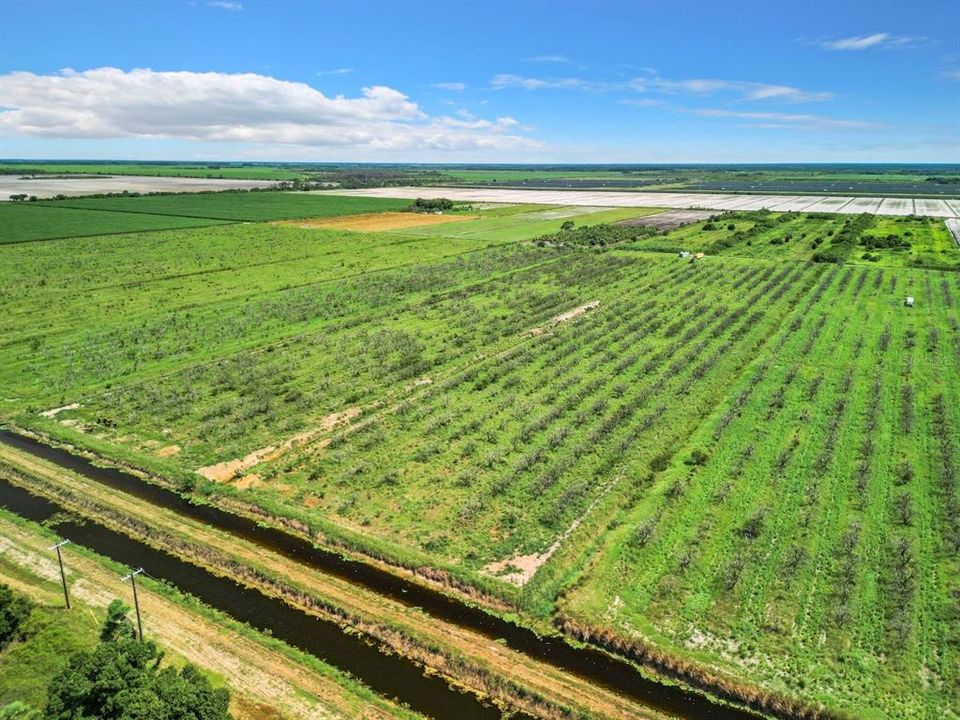 На продажу: $264,900 (19.43 acres)