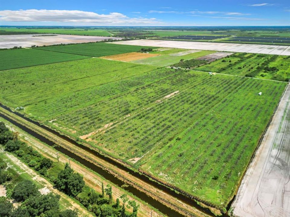 For Sale: $264,900 (19.43 acres)