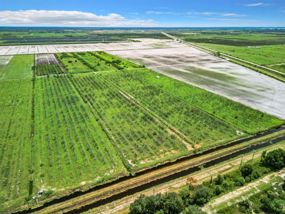 На продажу: $264,900 (19.43 acres)