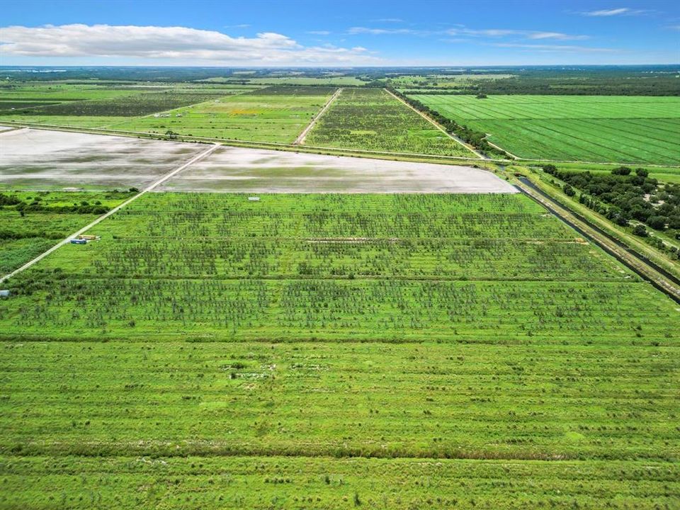 На продажу: $264,900 (19.43 acres)