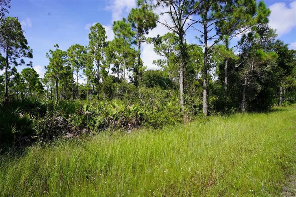 En Venta: $13,500 (0.22 acres)