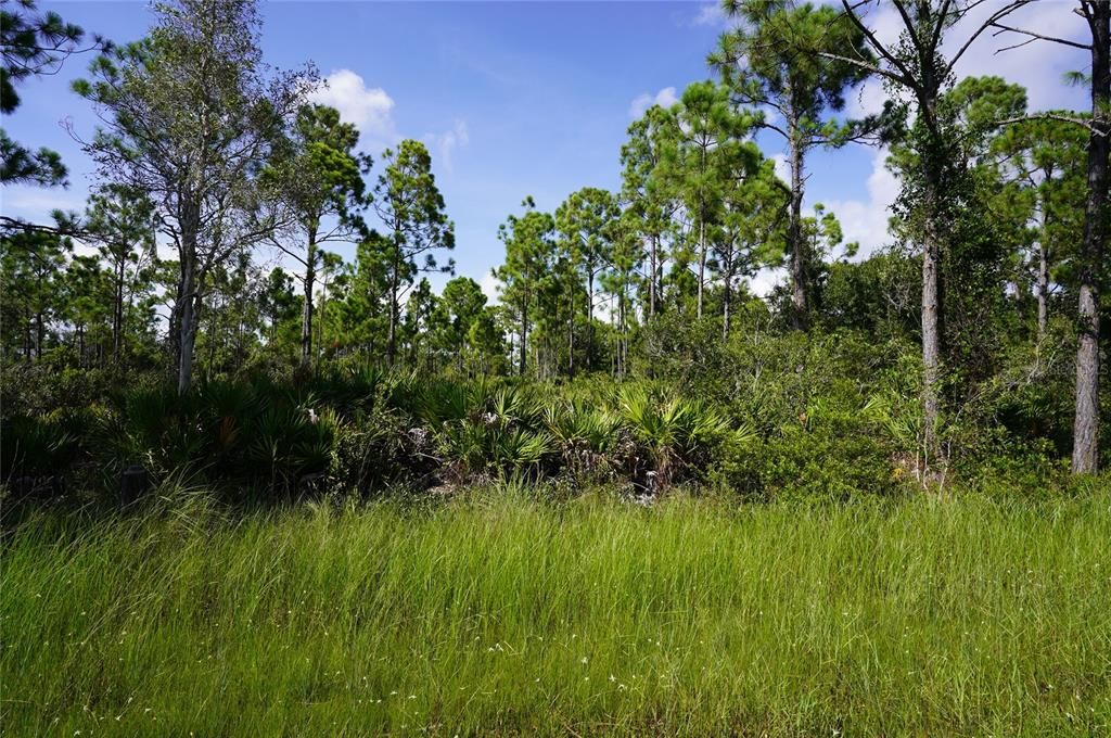 En Venta: $13,500 (0.22 acres)