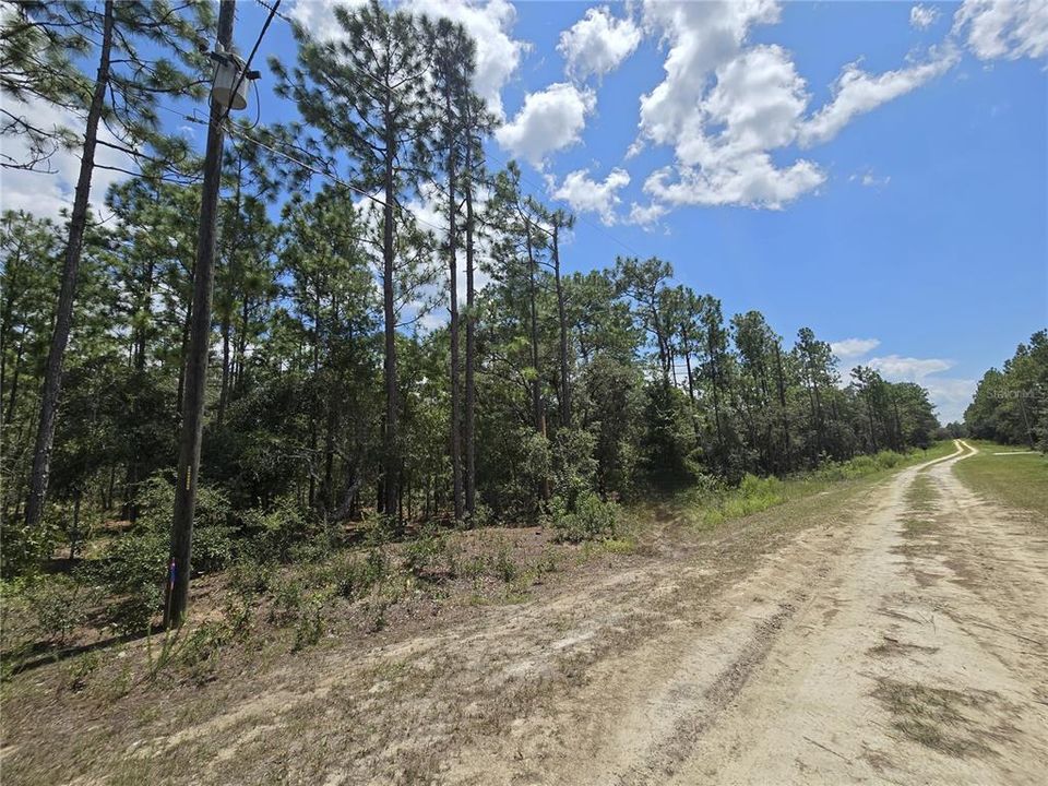 Active With Contract: $54,999 (1.16 acres)