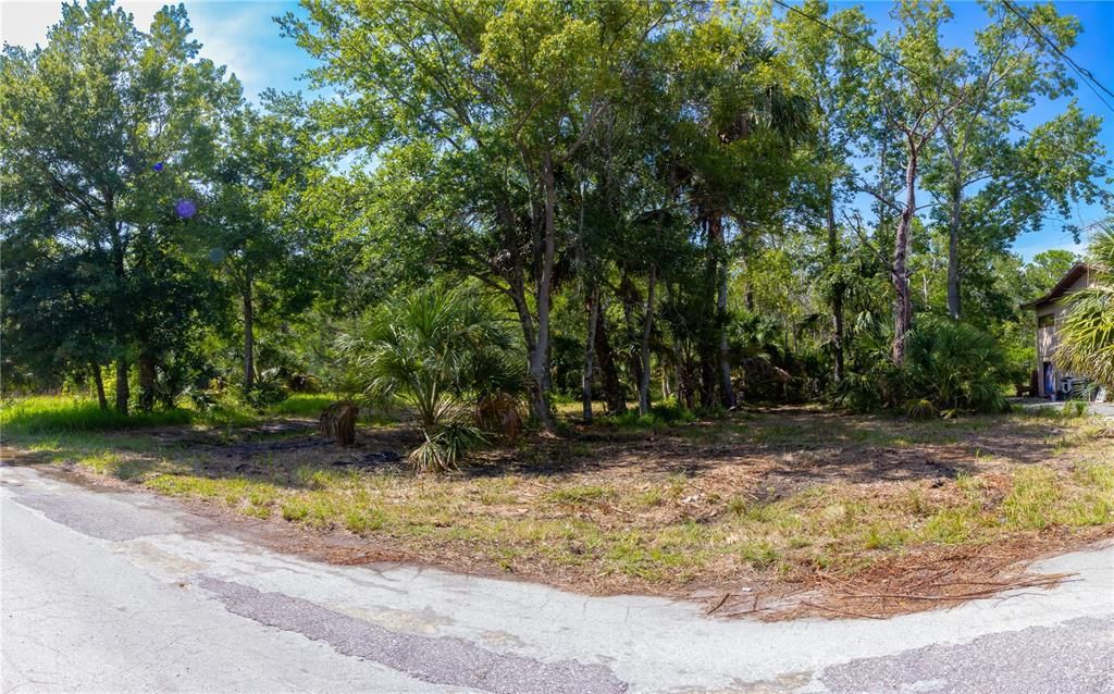 待售: $19,000 (0.15 acres)