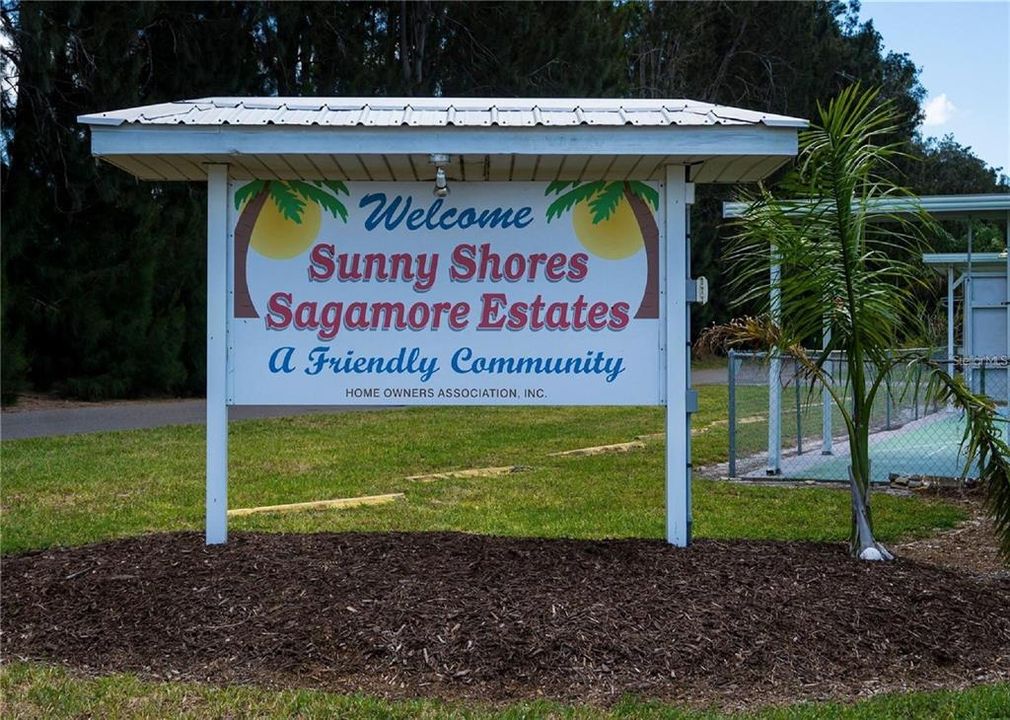 Welcome to Sunny Shores