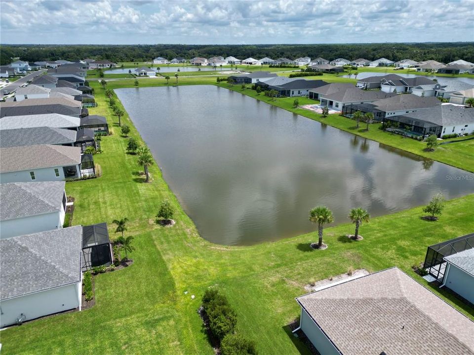 Pond View