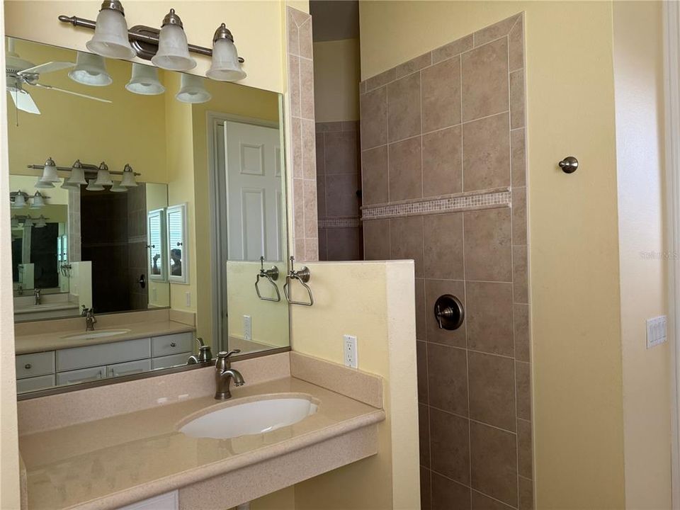 Ensuite bathroom with walk-in shower and vanity 2