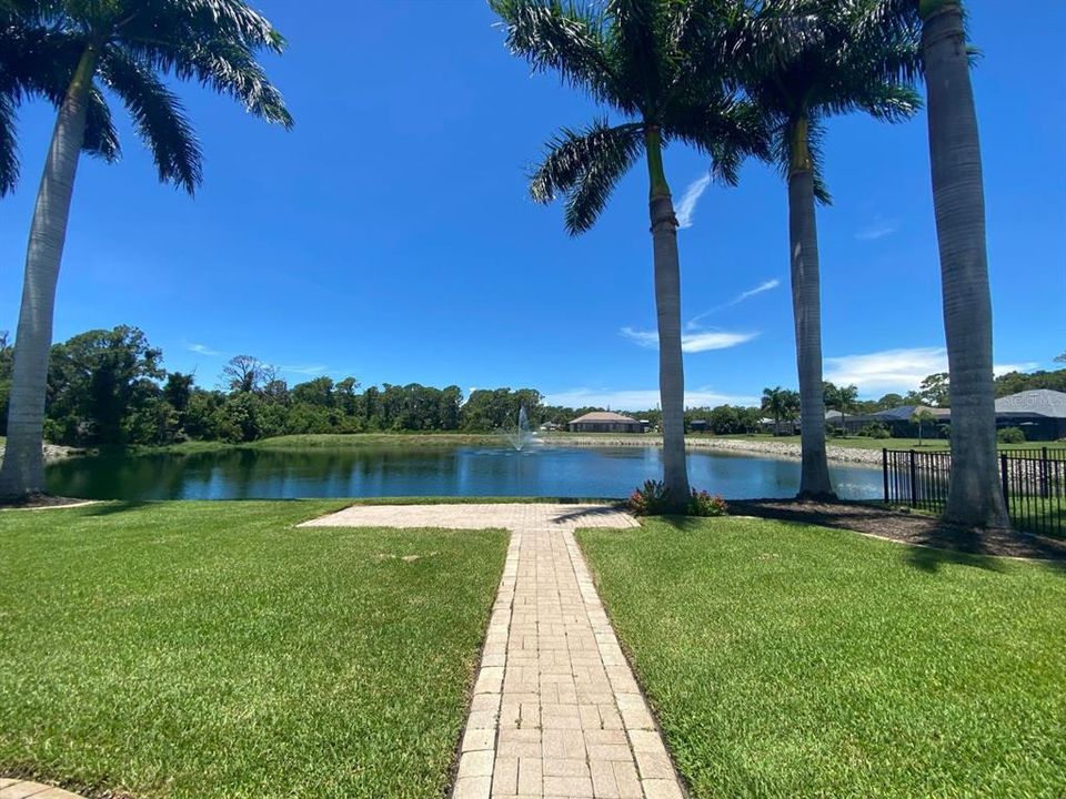 Backyard view of water