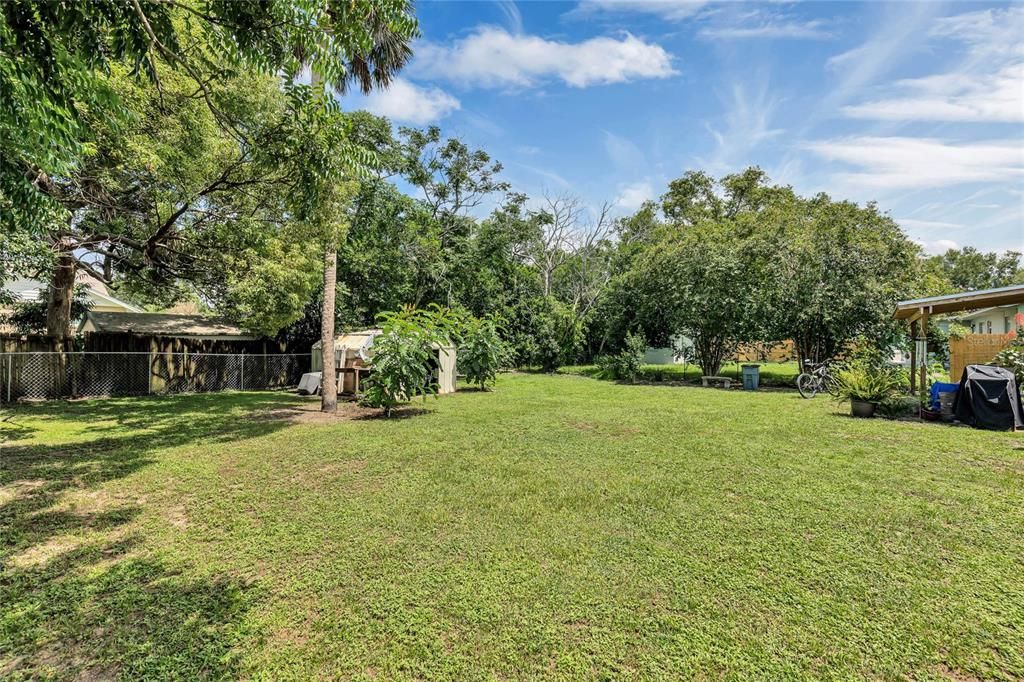 Rear yard from back side of house.