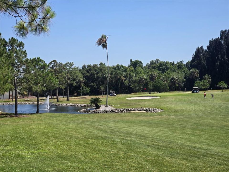 Nearby Tarpon Springs Golf Course