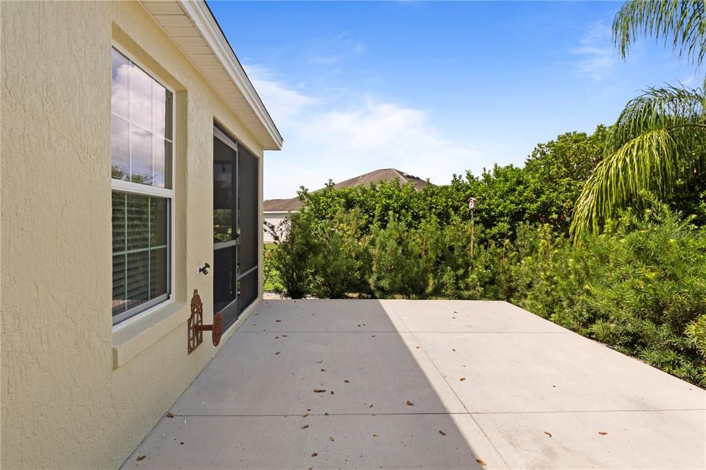 Concrete Slab in Backyard