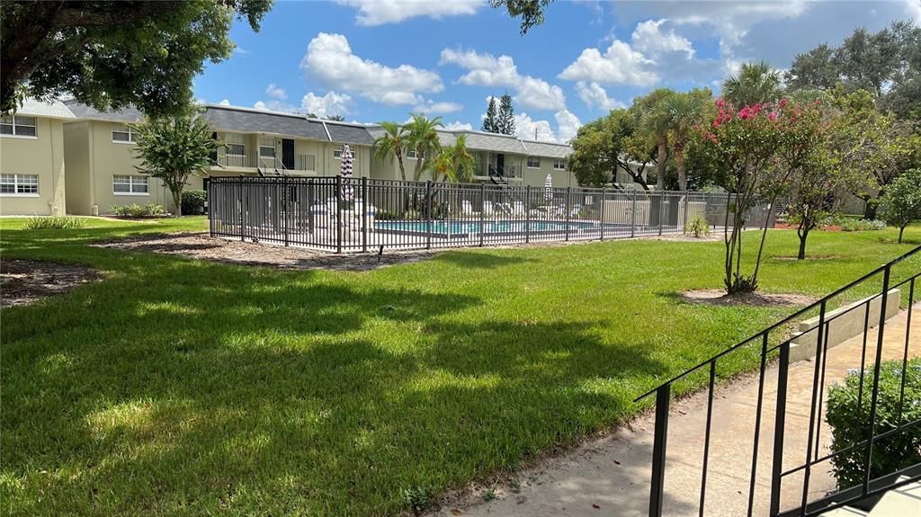 Courtyard and pool from back porch