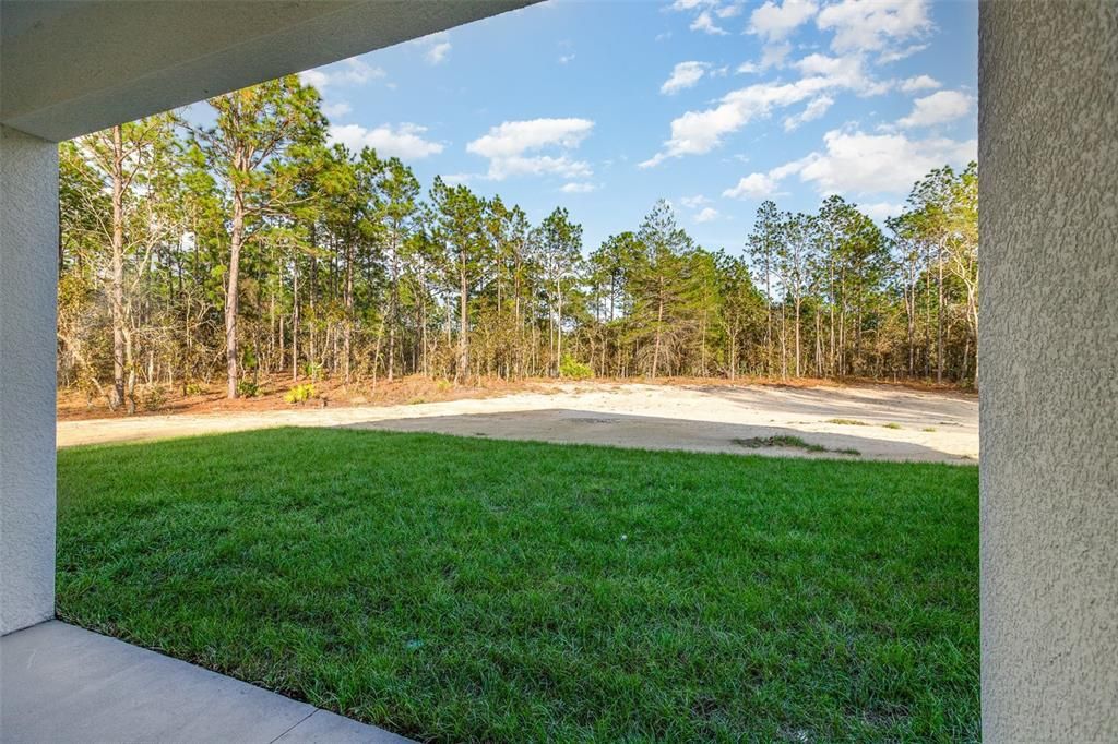 Back of home with sod and irrigation