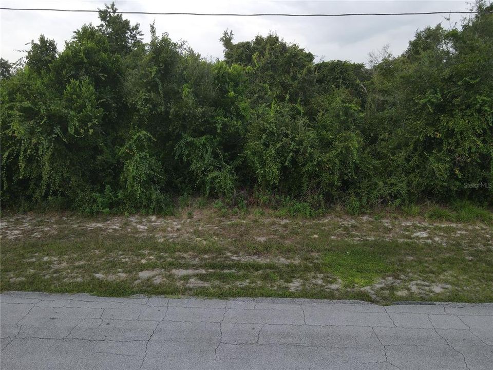 Active With Contract: $59,900 (0.23 acres)