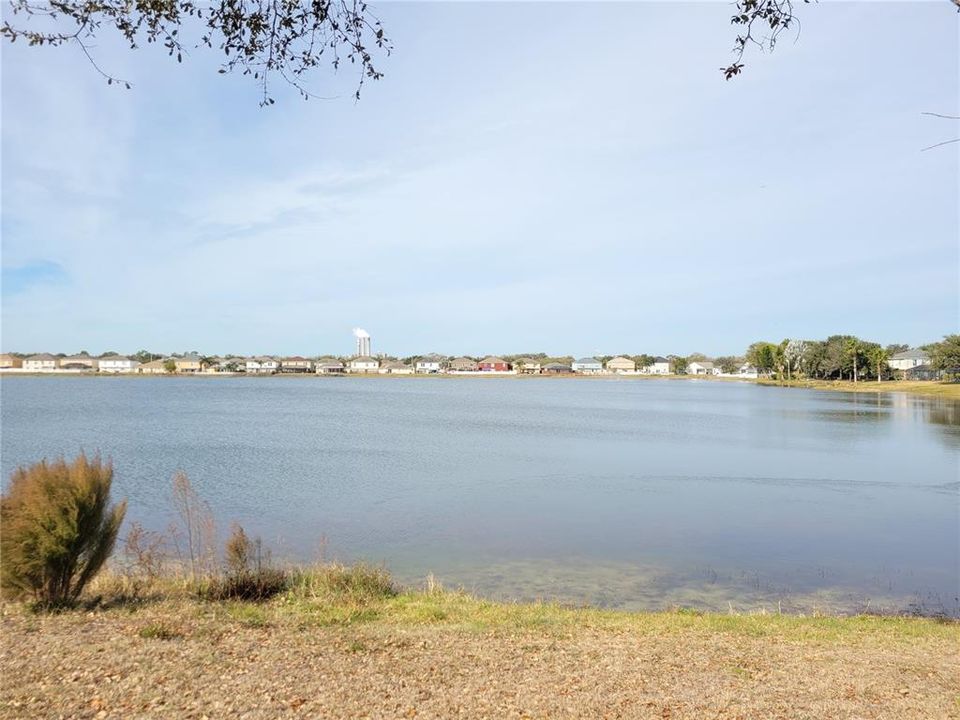 pond view