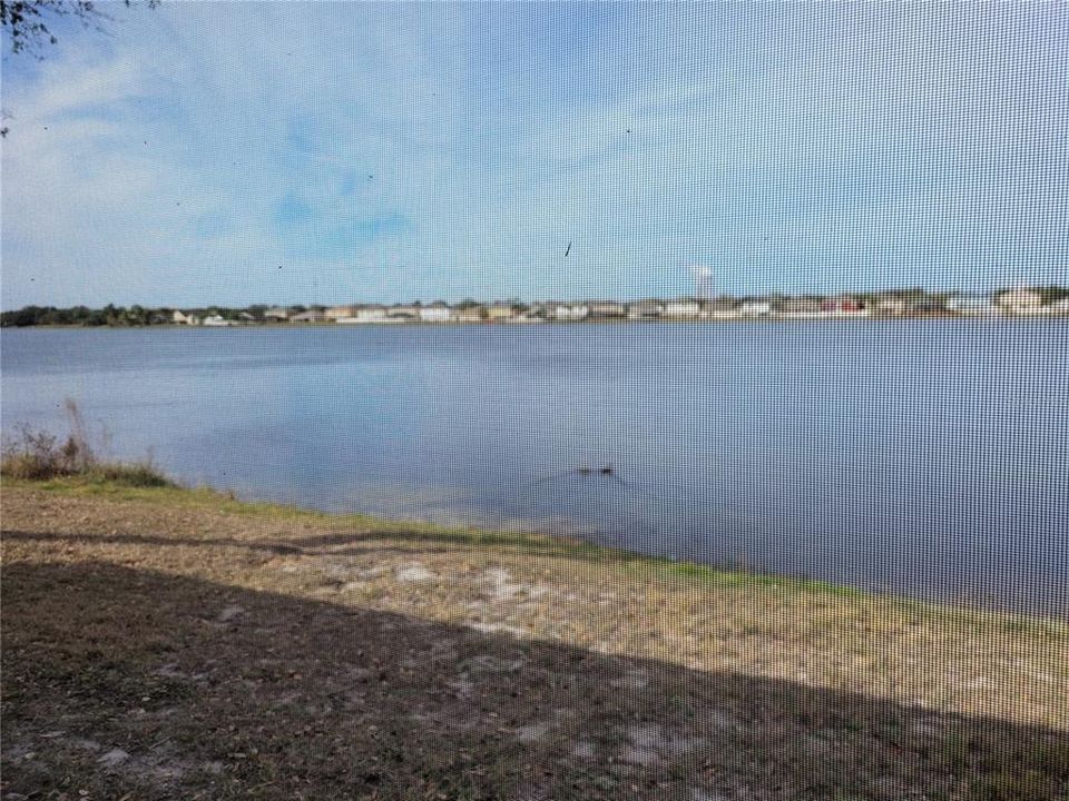 pond view