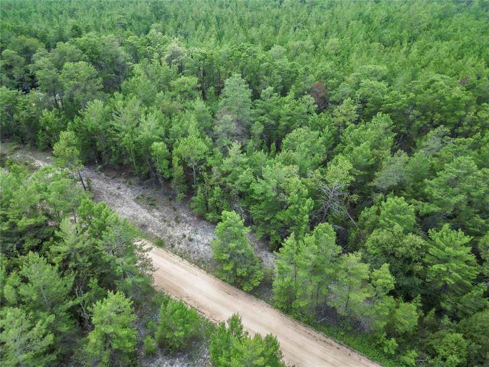 For Sale: $5,600 (0.23 acres)