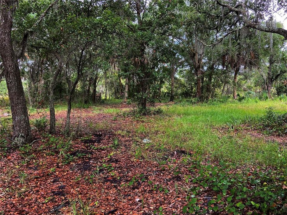 En Venta: $450,000 (7.00 acres)