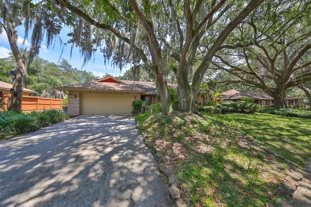 Deep driveway and majestic oak trees.