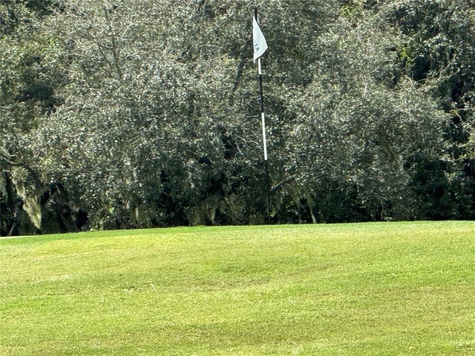 Golf Course