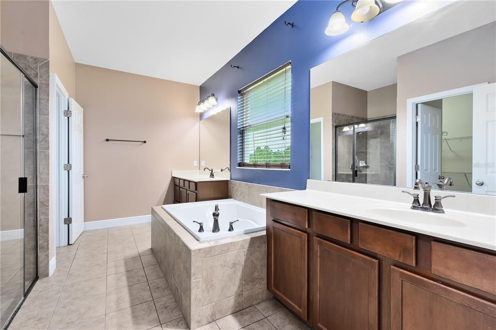 Downstairs Master Bathroom w/ walk in shower and garden tub and double vanity