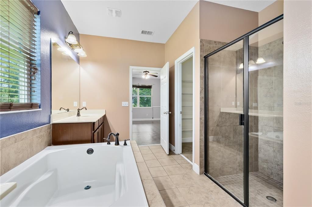 Downstairs Master Bathroom w/ walk in shower and garden tub and double vanity