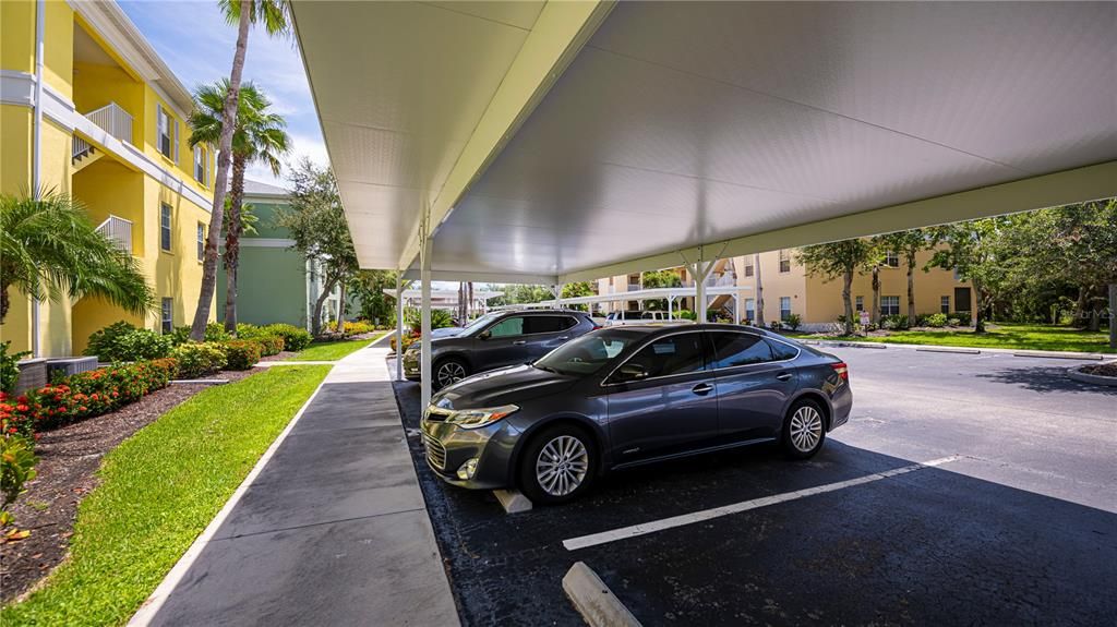 NEW carports! Your special parking spot is numbered.