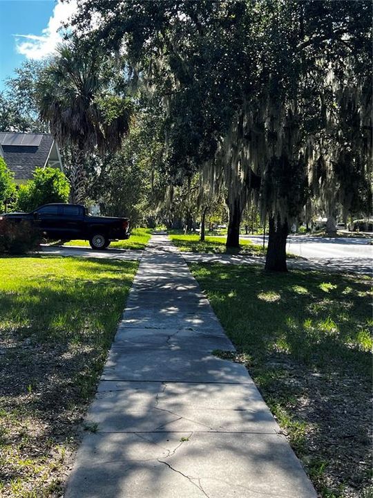 Sidewalk to the lake