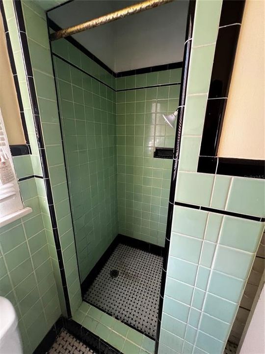 Picture of shower in 1br/1ba at rear of residence