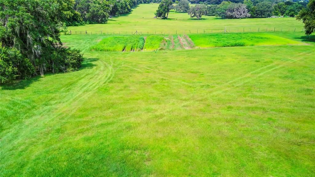 Rolling Pasture Views