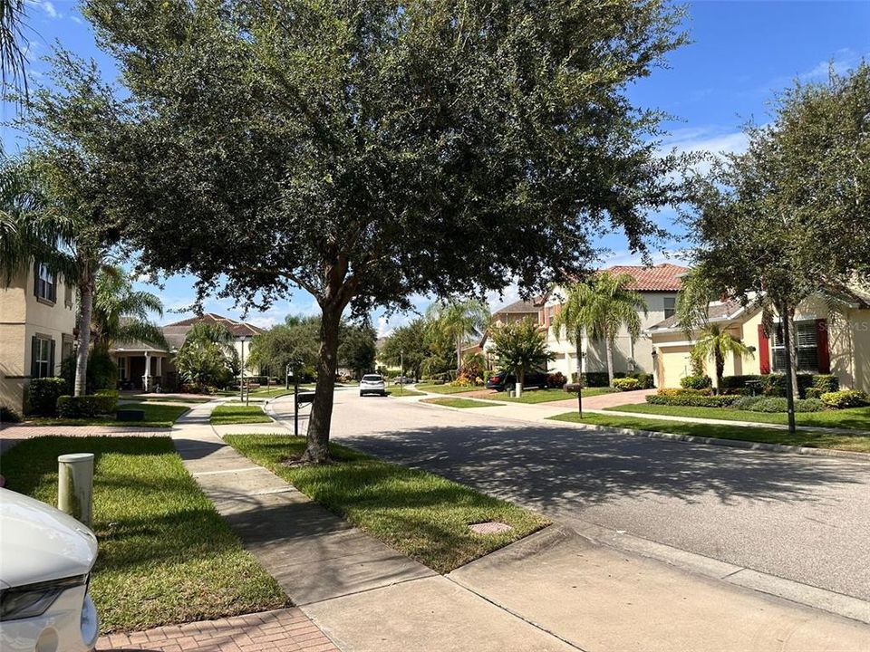 East view of street