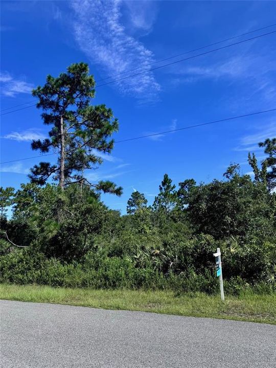 Active With Contract: $124,999 (1.03 acres)