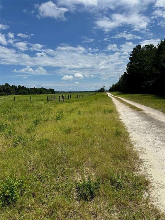 For Sale: $165,000 (10.03 acres)