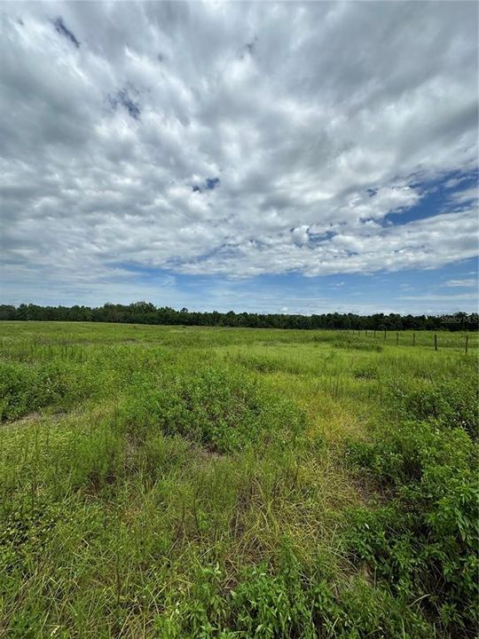 For Sale: $165,000 (10.03 acres)