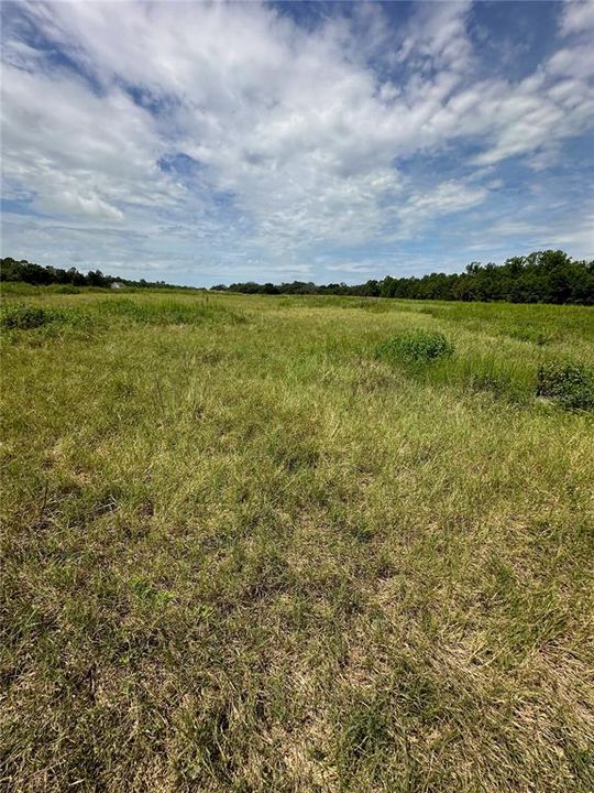 For Sale: $165,000 (10.03 acres)