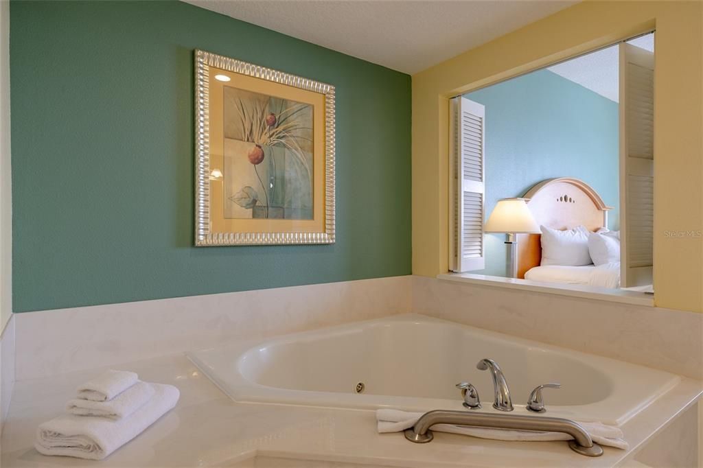 Large Jacuzzi Tub in Main Bathroom