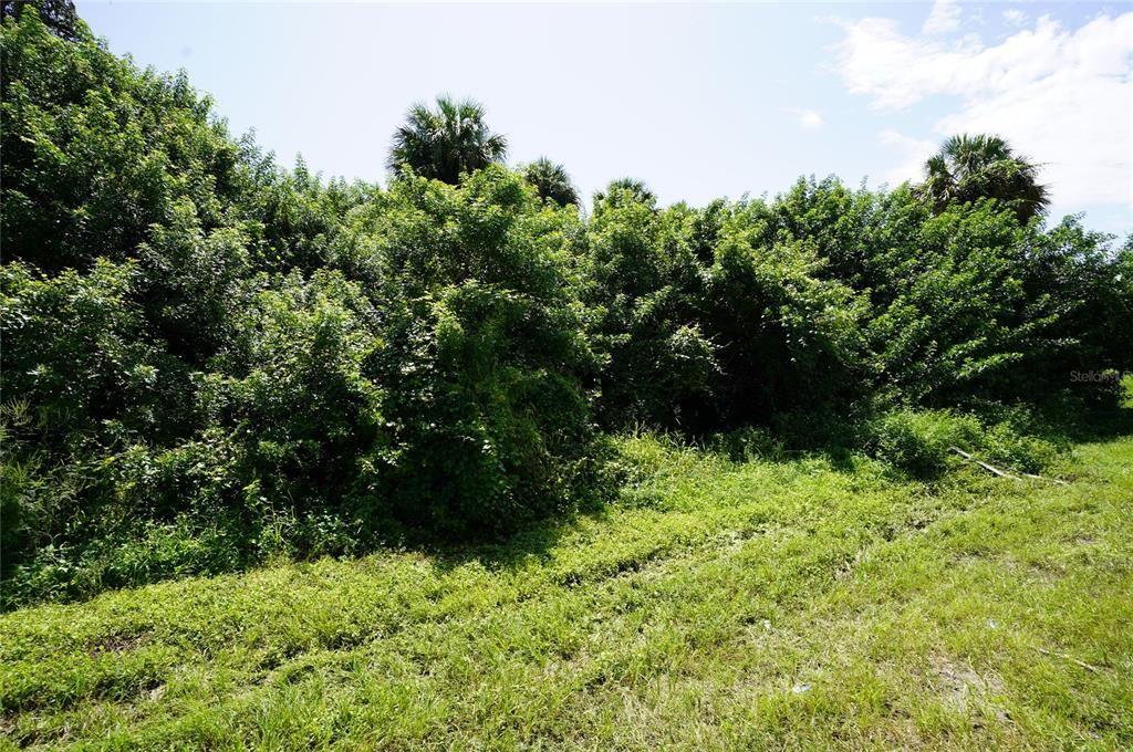 Active With Contract: $19,000 (0.27 acres)