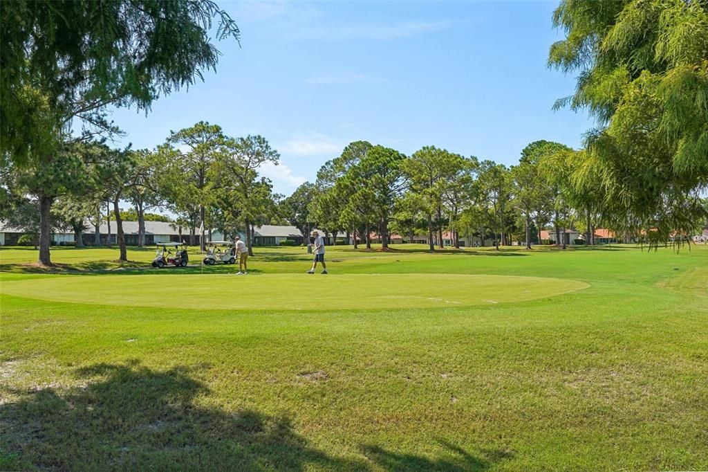 Golfers out daily!  Enjoy one of three courses.