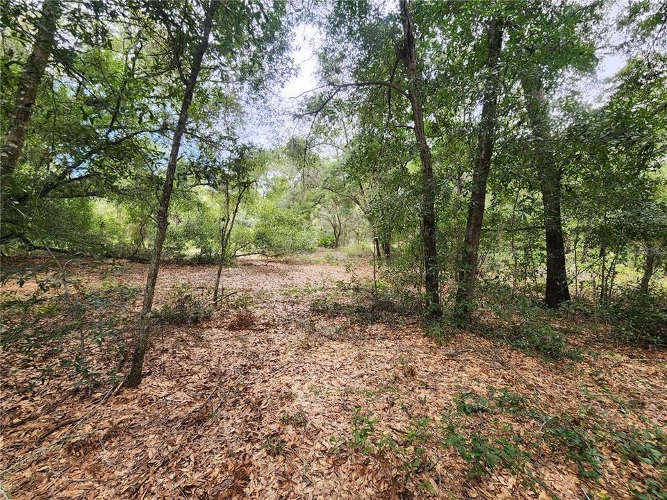 En Venta: $89,500 (1.34 acres)