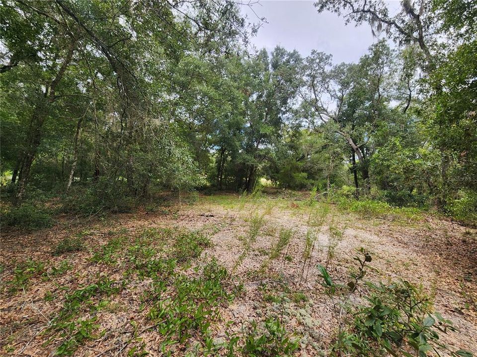 For Sale: $89,500 (1.34 acres)