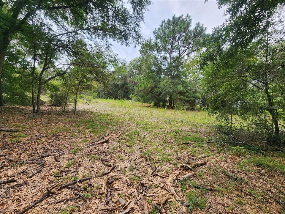 На продажу: $89,500 (1.34 acres)