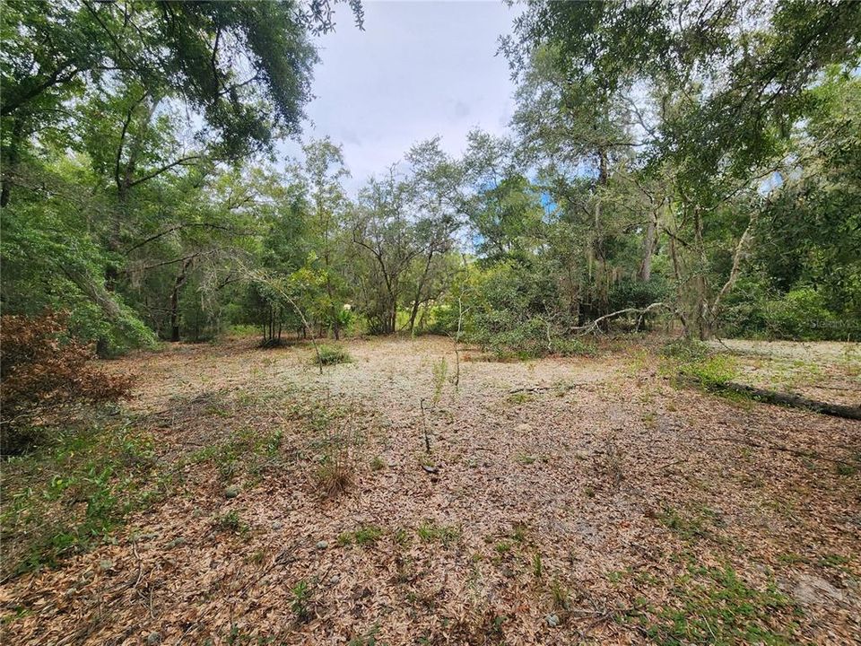 待售: $89,500 (1.34 acres)